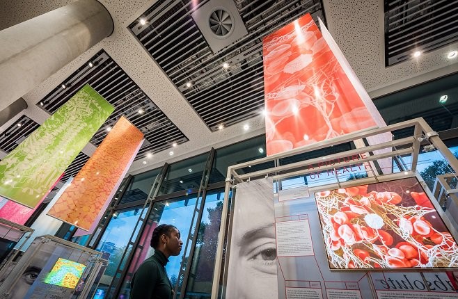 Crick Institute Graphics